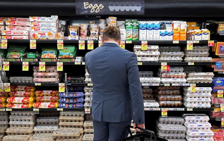 Chickens Declare Nationwide Strike, Accuse Big Egg of Price Gouging and Unfair Labor Practices